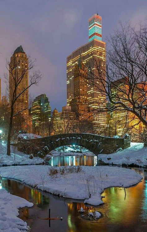 CENTRAL-PARK WINTER.. Central Park Winter, New York Snow, Fall Scenery, Winter In New York, Central Park New York City, Night Scenes, York Christmas, New York Wallpaper, New York City Photos