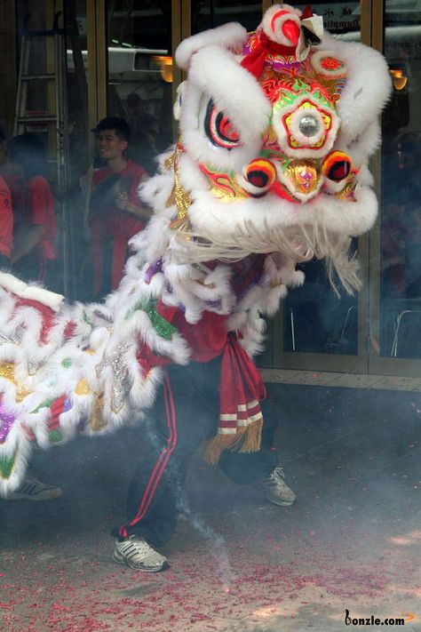 Chinese New Year Dragon Dance SHARE YOUR TRAVEL EXPERIENCE ON www.thetripmill.com! Be a #tripmiller! Chinese Dragon Costume, Chinese New Year Dragon Dance, Chinese Dragon Puppet, Dragon Dance Costume, Chinese Dragon Dance, Dancing Dragon, Lion Dragon, Chinese Lion Dance, Chinese Lion