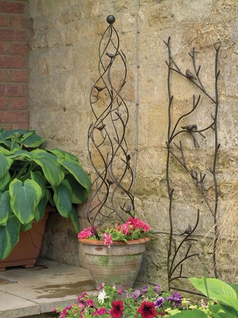 Obelisk Trellis, Garden Obelisk, Trendy Plants, Garden Vines, Trellis Plants, Have Inspiration, Garden Trellis, Garden Structures, Garden Cottage