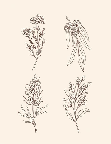 Native Australian Flowers Drawing, Australian Flowers Drawing, Native Flowers Australia, Australian Native Flowers Tattoo, Australian Native Flowers Illustration, Australian Flowers Tattoo, Native Flower Tattoo, Native Australian Flowers Tattoo, Carrie Tattoo