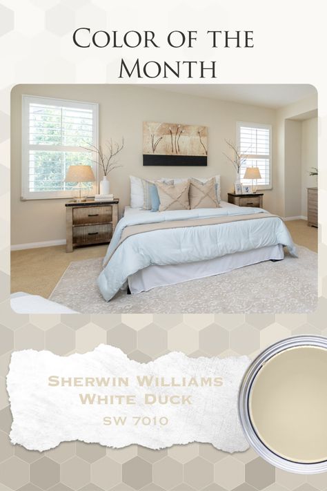 White Duck Paint Sherwin Williams, White Duck Interior Walls, Sherwin Williams Whitetail Walls, Sherwin Williams Timeless White, White Duck Sherwin Williams Wall Colors, Sherwin Williams Duck White, Sw White Duck Coordinating Colors, Sherwin Williams White Duck Walls, Sw White Duck Walls