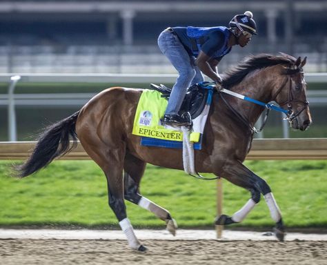 Epicenter, the runner-up in the Kentucky Derby, will head to the post as the favorite for the 147th Preakness Stakes Male Horse, Preakness Stakes, Derby Winners, Triple Crown Winners, Belmont Stakes, Churchill Downs, Triple Crown, Preakness, The Favorite