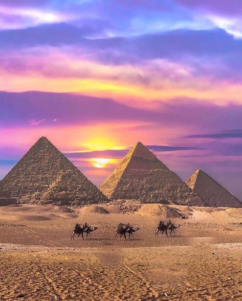 Egypt Giza Pyramids, Egypt Wallpaper, Camels Art, Egypt Aesthetic, Pyramids Egypt, Egypt Tattoo, Great Pyramid Of Giza, Egyptian Pyramids, Pyramids Of Giza