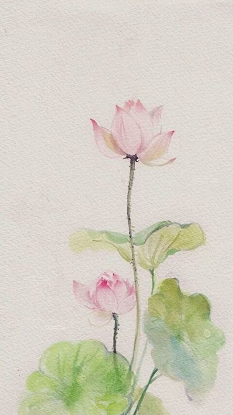 Lotus Flower Painting, Lotus Wallpaper, Watercolor Lotus, Lotus Flower Art, Lotus Painting, Lotus Art, Watercolor Flower Art, 수채화 그림, Watercolor Sketch