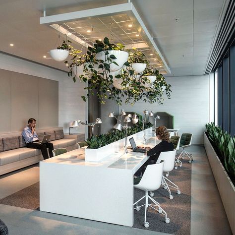 Green Office Decor, Modern Office Design Inspiration, Cool Office Space, Office Design Inspiration, Modern Office Space, Modern Office Interiors, Corporate Office Design, Green Office, Office Space Design