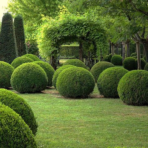 The garden at Le Vieux Logis in the Dordogne, France. These Buxus spheres are so… Formal Garden Design, Boxwood Garden, Garden Balls, Topiary Garden, Darkness Falls, Formal Garden, Formal Gardens, The Secret Garden, French Garden