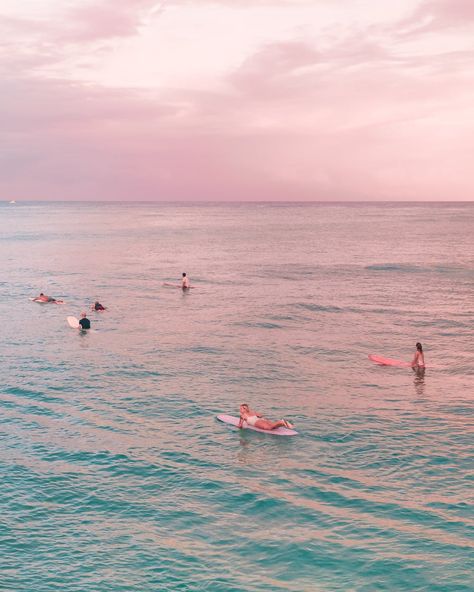 People on Beach during Sunset · Free Stock Photo Pink Beach Aesthetic, Surfer Girl Aesthetic, Surf Aesthetic, Sunset Surf, Pastel Beach, Pink Beach, Pink Sunset, Sunset Art, Arte Inspo