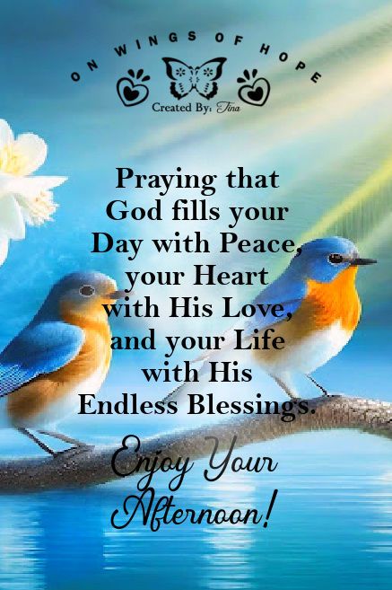 Praying that God fills your day with peace, your heart with His love, and your life with His endless blessings. Enjoy Your Afternoon! life quotes quotes positive quotes quote god life positive quote God Bless My Friend Quote, Blessings For Your Day, Spiritual Peace Quotes, Peace Blessings Quotes, Enjoy Your Day Images, Friend Blessing Quotes, Blessed Day Quotes Inspirational, Afternoon Quotes Inspiration, Sunday Afternoon Blessings