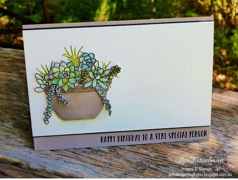 Succulent Cards, Paper Succulents, Engagement Cards, Display Board, Succulents Diy, Card Making Inspiration, Holiday Catalog, Succulent Plant, Stamping Up