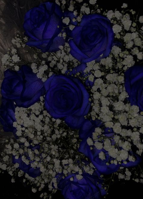 Dark Blue Bouquet, Midnight Blue Flowers, Dark Blue Roses, Wisteria Trees, Blue And White Roses, Blue Roses Wallpaper, Shadows House, Wisteria Tree, Purple Wisteria