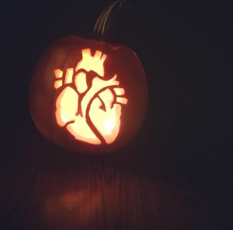 Successfully carved a human heart into a pumpkin. Carved Pumpkin Inspiration, Heart Carved Pumpkin, Pumpkin Heart Carving, Biology Pumpkin Carving, Healthcare Pumpkin Carving, Pumpkin Carving Ideas Medical, Heart Pumpkin Carving Ideas, Pumpkin Carving Medical Theme, Pumpkin Carving Ideas Heart