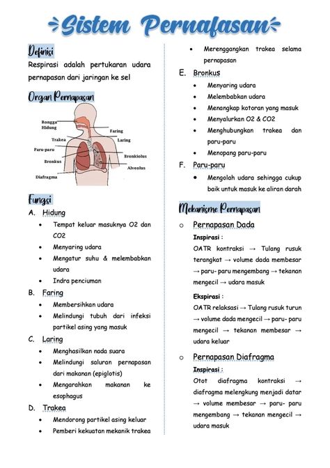 Catatan tentang SISTEM PERNAPASAN - KELAS - Clear Pelajaran Ipa, Struktur Teks, Hand Lettering Worksheet, Study Biology, School Study Ideas, Med School Motivation, School Organization Notes, Science Notes, Studying Math