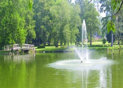 Orangeburg, SC : Turtle Pond located in Edisto Memorial Gardens Orangeburg South Carolina, Memorial Gardens, Garden 2023, Turtle Pond, Carolina Girl, Memorial Garden, City House, Modern Garden, Christmas Movies