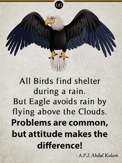 Eagle Mentality Eagle Facts, Negative Friends, Apj Abdul Kalam Quotes, Abdul Kalam Quotes, Apj Abdul Kalam, Inspirational Quotes Encouragement, Apj Quotes, Positive Good Morning Quotes, Kalam Quotes