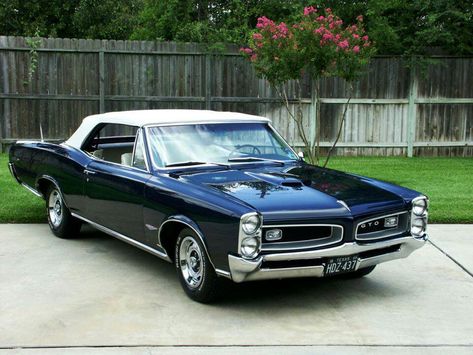 '66 GTO Convertible Gto Convertible, Gto Car, 1966 Gto, Classic Automobiles, Pontiac Cars, Us Cars, Hot Rods Cars, Pontiac Gto, American Muscle Cars