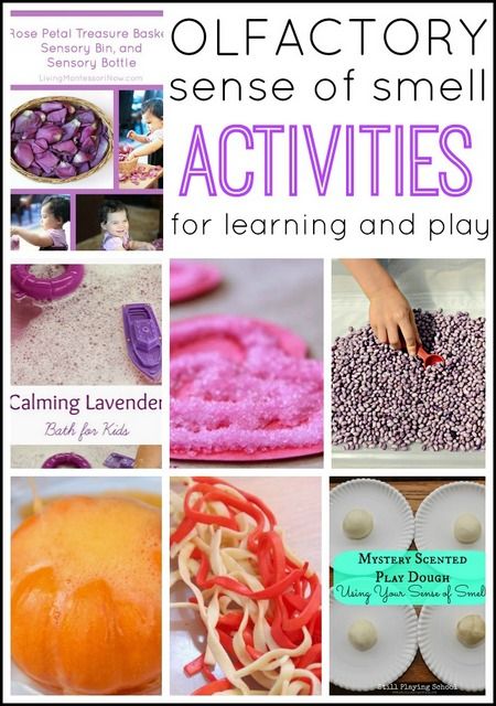 These olfactory sense of smell sensory play activities and sensory play ideas use scented sensory play to calm or stimulate the senses! Sensory Play Ideas, Senses Activities, Sensory Diet, Sense Of Smell, Science Activities For Kids, Kindergarten Science, Preschool Science, Kids Sensory, Play Ideas