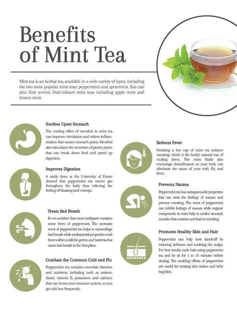 Benefits Of Mint Tea, Mint Tea Benefits, Tea For Health, Peppermint Tea Benefits, Excellent Health, Tomato Nutrition, Calendula Benefits, Fruit Health Benefits, Matcha Benefits