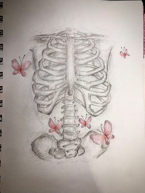 Drawing Art, Skeleton, Butterflies, Sketch, Holidays, Human, Tumblr, Drawings, Anime