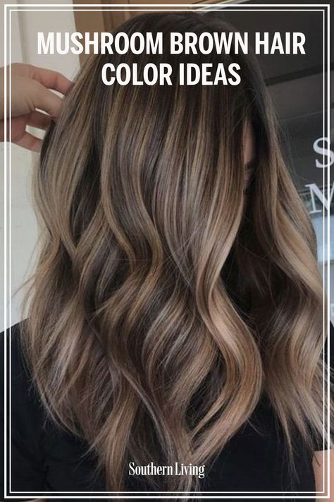 Mushroom Lowlights, Cool Tone Brown Hair Highlights, Mushroom Colour Hair, Mushroom Colored Hair, House Of Colour Summer Hair Color, Pramenovi Brown Hair, Mushroom Highlights On Brown Hair, Brown Hair Lowlights And Highlights, Hoc Summer Hair Colors