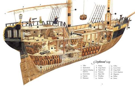 parts of a pirate ship diagram for kids | Pirate Diary: The Journal of Jake Carpenter » PirateDiary – ship ... Schooner Ship Drawing, Ship Diagram, Tall Ship Model, Navi A Vela, Old Sailing Ships, Ship Of The Line, Sailing Vessel, Wooden Ship, Boat Plans