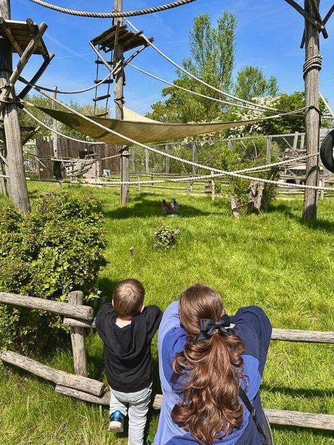 Zoo trip looking for lemurs with roddler toddler Zoo Aesthetic With Friends, Zoo With Friends, Zoo Pictures, Zoo Trip, School Trip, 2025 Vision, Summer Bucket Lists, Summer 24, Summer Bucket