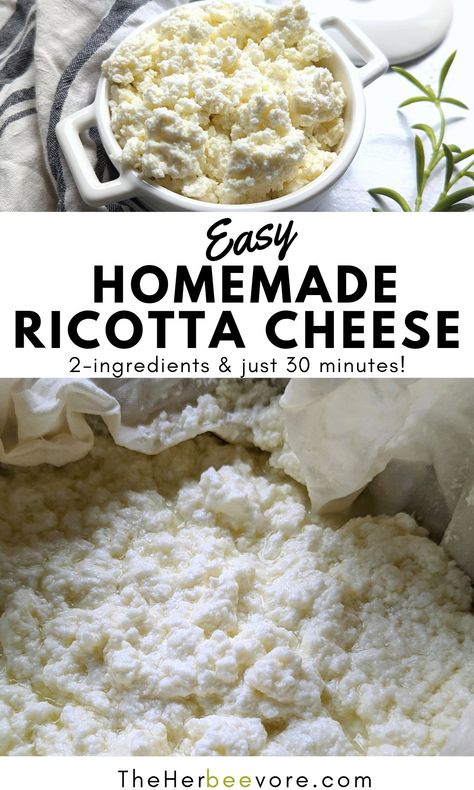 Ricotta Cheese Recipe, Low Sodium Cheese, Homemade Ricotta Cheese, Ricotta Recipe, Ricotta Cheese Recipes, Instant Pot Yogurt, Homemade Ricotta, Ricotta Recipes, Homemade Yogurt