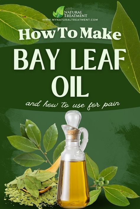 How to Make Bay Leaf Oil at Home and Use #bayleafoil #bayleaf #bayleafoiluses #laurel #laurusnobilis #laurus #laureloil #bayoil #bayoiluses Bay Leaves Uses, Bay Leaf Plant, Burn Bay Leaves, Burning Bay Leaves, When To Plant Vegetables, Gas Relief, Health Guru, Herbal Tinctures, Essential Oils For Skin