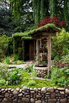 Wishing Well Garden, Sedum Roof, Wishing Wells, Rhs Chelsea Flower Show, Garden Architecture, Well Well, Chelsea Flower, Garden Yard Ideas, Chelsea Flower Show