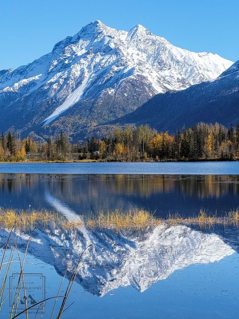 Fall View, Water Reflection, Anchorage Alaska, A Court Of Mist And Fury, Water Reflections, Alaska Travel, Early Fall, Fall Foliage, Alaska