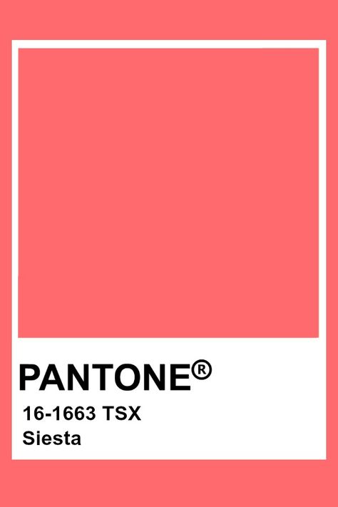 Pantone Siesta Pantone Red, Pantone Color Chart, Pantone Swatches, Pantone Palette, Pantone Colour Palettes, Color Palette Challenge, Paint Color Inspiration, Painters Palette, Pantone Colors