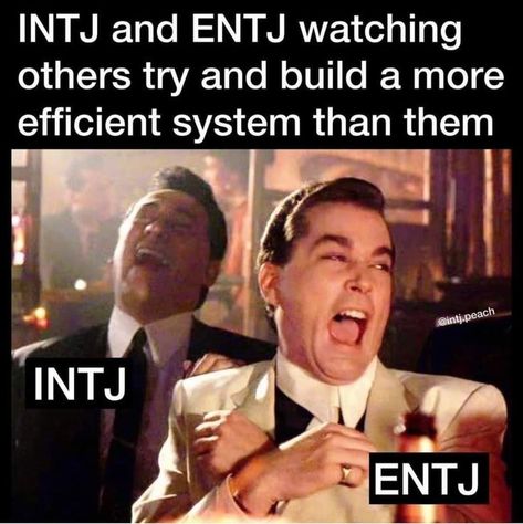 Entj And Intj Relationship, Mbti Entj, Entj Relationships, Intj Humor, Entj Personality, Intj Women, Intj T, Intj And Infj, Infj Mbti