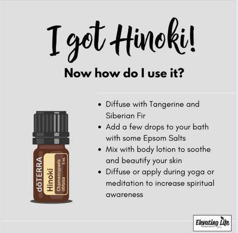 Hinoki Essential Oil Blends, Hinoki Essential Oil, Doterra Oils Recipes, Doterra Oil, Doterra Essential Oils Recipes, Essential Oil Diffuser Blends Recipes, Essential Oil Blends Recipes, Essential Oil Diffuser Blends, Doterra Oils