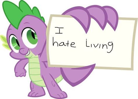 Mlp Funny, Mlp Memes, My Lil Pony, My Little Pony Drawing, Mlp Pony, My Little Pony Pictures, Pony Drawing, Pinkie Pie, Mlp My Little Pony