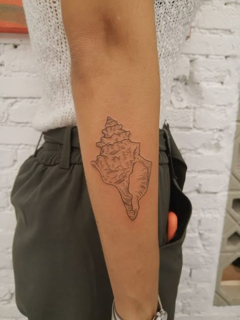 Seashell Rib Tattoo, Fine Line Seashell Tattoo, Sea Shell Tattoos, Florida Inspired Tattoo, Clam Tattoo, Conch Shell Tattoo, Sea Shell Tattoo, Seashell Tattoo, Florida Tattoo