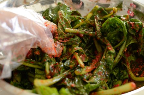 Turnip Green Kimchi; the Kimchi of Autumn Turnip Kimchi Recipe, Vegan Kimchi Recipe, Kimchi Recipes, Cauliflower Leaves, Anchovy Sauce, Parmesan Butter, Shrimp Sauce, Kimchi Recipe, Turnip Greens