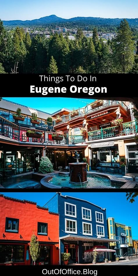 Things To Do In Eugene Oregon, Oregon Roadtrip, West Coast Travel, Vibrant Food, Oregon Photography, Oregon Trip, American National Parks, North America Travel Destinations, Travel Bucket List Usa