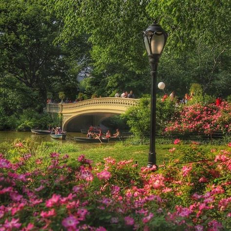 Central Park Aesthetic, Spring Scenery, Spring Aesthetic, Spring Vibes, Nature Aesthetic, Pretty Places, Art Plastique, Leicester, Central Park