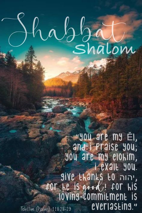 Shabbat Shalom Blessings, Shabbat Shalom Quotes, Shabbat Shalom Images Beautiful, Gods Promises Quotes, Promises Quotes, Happy Sabbath Quotes, Bible Genealogy, Happy Sabbath Images, Sabbath Quotes