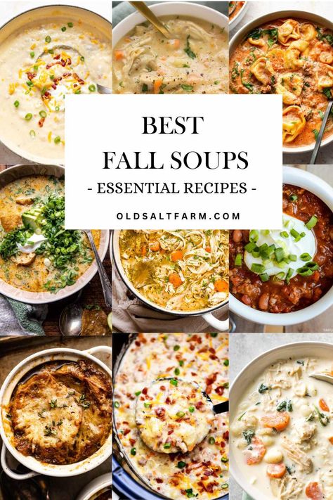 Best Fall Soups - Essential Recipes | Old Salt Farm Fall Soups Crockpot, Best Fall Soups, Soup And Salad Combo, Warm Soup Recipes, Gourmet Soup, Cozy Fall Recipes, Fall Recipes Pumpkin, Winter Soup Recipe, Fall Soup