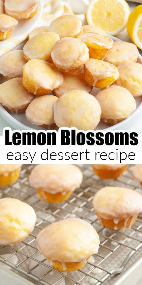 Lemon blossoms or lemon bites are a delicious little treat made with a lemon cake mix and topped with a simple lemon icing. This easy lemon dessert is perfect for parties, holidays, brunches and more. Lemon blossoms are a fun twist on a lemon bundt cake. Dessert With Eggs, Lemon Cake Bites, Lemon Bites, Lemon Recipes Easy, Lemon Desserts Easy, Butter Cake Cookies, Cheap Desserts, Pineapple Angel Food, Cake Ball Recipes