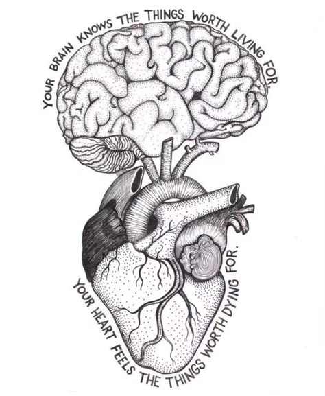 Learn Everyday, Brain Art, Meaningful Drawings, Deep Art, Medical Art, Medical Knowledge, Art Drawings Sketches Creative, Pencil Art Drawings, Tag Your Friends