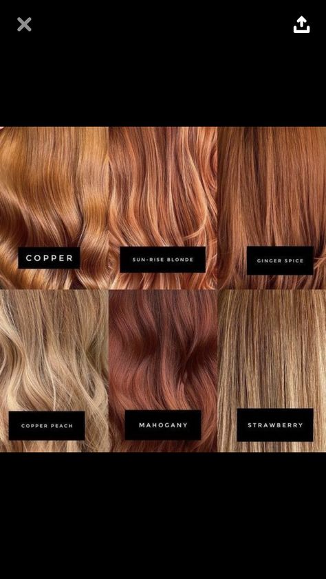 Dark Strawberry Blonde Hair, Light Auburn Hair Color, Hair Chart, Light Auburn Hair, Shades Of Red Hair, Blonde Hair Transformations, Strawberry Blonde Hair Color, Perfect Hair Color, Hair Care Growth