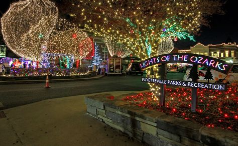 Lights of the Ozarks lighting ceremony and parade set for Nov. 20 | Fayetteville Flyer Vancouver Homes, Vancouver Photos, Woodland Park Zoo, Holiday Lights Display, Christmas Ships, Christmas Light Displays, Woodland Park, Mormon Temple, Christmas Events