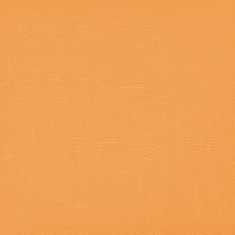 Pale Orange Background, Web Cafe, Light Orange Background, Phone Makeover, Fall Homescreen, Ipad Picture, Orange Theme, Blank Background, Plain Background