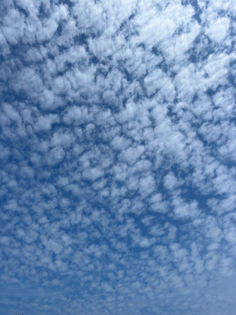 The types of clouds made of ice crystals often arranged in rows that live at high altitudes are called Cirrocumulus clouds which are small. Compared to altocumulus and stratocumulus, Cirrocimulus are much smaller, and the individual cloud mounds are called “cloudlets.” These clouds are relatively short-lived; they do not produce rain and are rare. Types Of Clouds, Ice Crystals, Sky And Clouds, Sky Photography, Crystals, Beauty