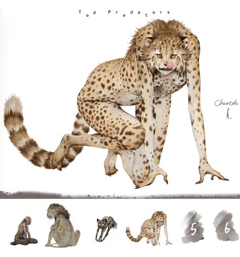 Xi Zhang, Cheetah Drawing, Funniest Cat, Hybrid Art, Humanoid Creatures, Alien Art, Fantasy Creatures Art, Mythical Creatures Art, Monster Design