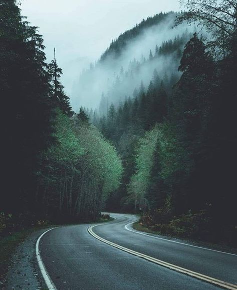 Forest, empty road, music! Dark Naturalism Aesthetic, Road Drawing, Road Music, Near Dark, Rollercoaster Of Emotions, Dark Forest Aesthetic, Lost Highway, Empty Road, Forest Aesthetic