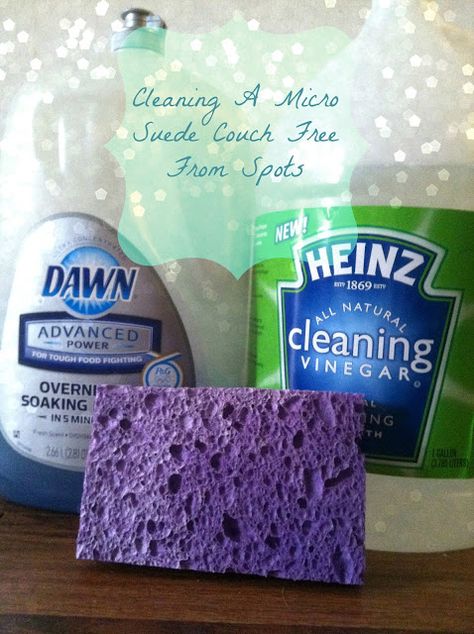 House Of Fuentes: How To Clean Your Micro Suede Couch (Free From Spots) Cleaning Microfiber Couch, Suede Couch, Microfiber Couch, Clean Couch, How To Clean Suede, Vinegar Cleaning, Cleaners Homemade, Clean Dishwasher, Diy Furniture Couch