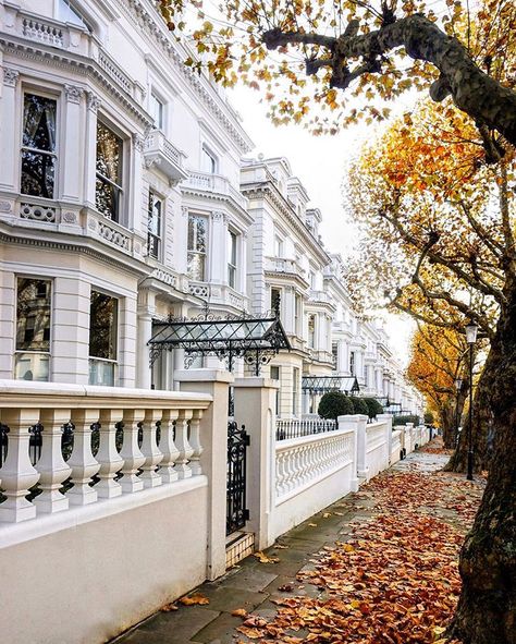 • London is... ...in the streets of Holland Park... • 🇬🇧The only reason why I love a good rainy day in November is this! When the leaves… Holland Park London, Autumn In The City, Magnolia Parks, London Dreams, London Townhouse, Holland Park, London Aesthetic, Brazil Travel, London Park