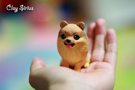 Clay Pomeranian, Pomchi Dogs, Chihuahua Bed, Polymer Clay Cats, Boo Cake, Polymer Clay Cat, Dog Cakes, Clay Inspo, Cake Stuff